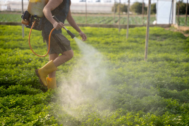 Trusted Santa Clara, OR Pest Control Experts